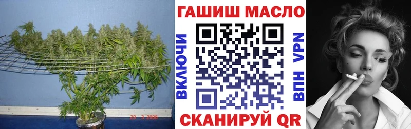 omg ТОР  Асино  ТГК вейп 